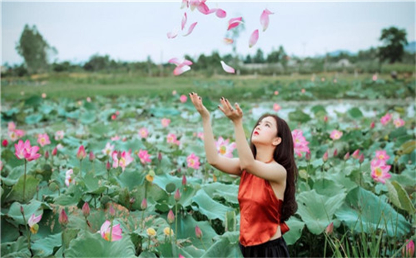 草莓樱桃丝瓜绿巨人蕾丝秋葵榴莲