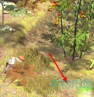 夺笋高手有哪些彩蛋 彩蛋攻略分享