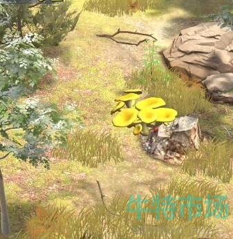 夺笋高手有哪些彩蛋 彩蛋攻略分享