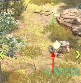 夺笋高手有哪些彩蛋 彩蛋攻略分享