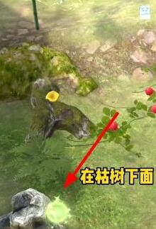 夺笋高手有哪些彩蛋 彩蛋攻略分享