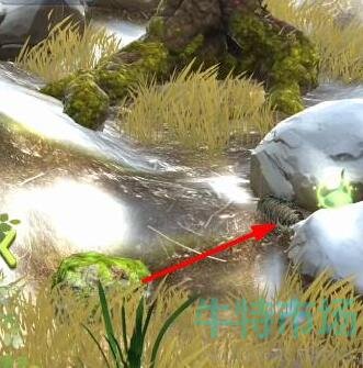 夺笋高手有哪些彩蛋 彩蛋攻略分享