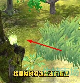 夺笋高手有哪些彩蛋 彩蛋攻略分享